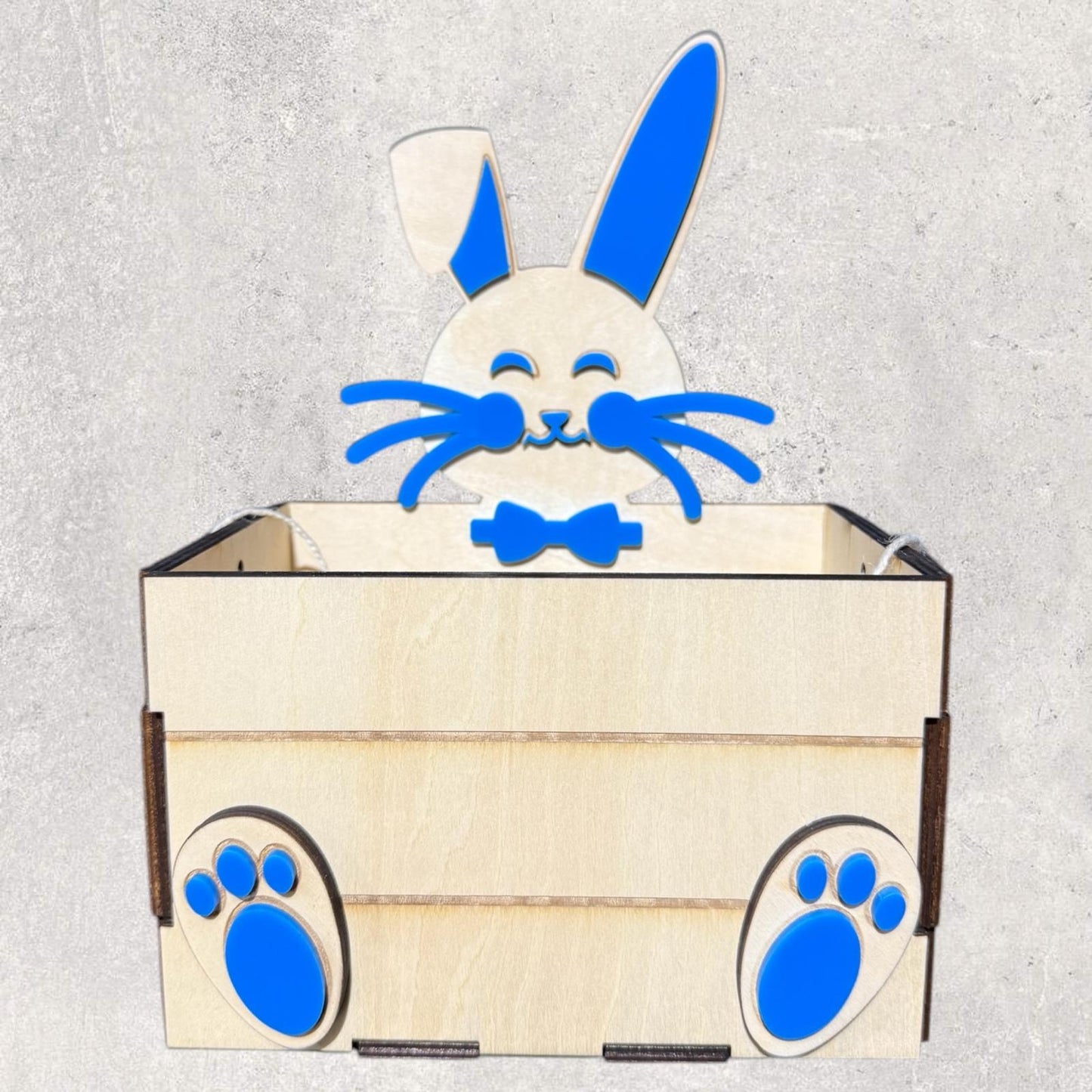 Easter Bunny Basket
